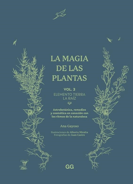 MAGIA DE LAS PLANTAS, LA | 9788425235627 | GAYOSO, ANA | Llibreria La Gralla | Librería online de Granollers