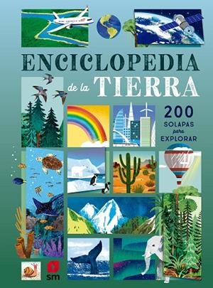 ENCICLOPEDIA DE LA TIERRA | 9788411822916 | MARTIN, RUTH | Llibreria La Gralla | Librería online de Granollers