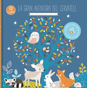 LLIBRES AMB LLUM... LA GRAN AVENTURA DEL CERVATELL | 9788413342788 | KENDALL WENDY | Llibreria La Gralla | Librería online de Granollers