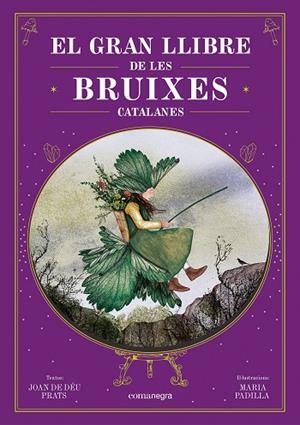 GRAN LLIBRE DE LES BRUIXES CATALANES, EL | 9788410161337 | PRATS, JOAN DE DÉU ;  PADILLA, MARIA | Llibreria La Gralla | Librería online de Granollers