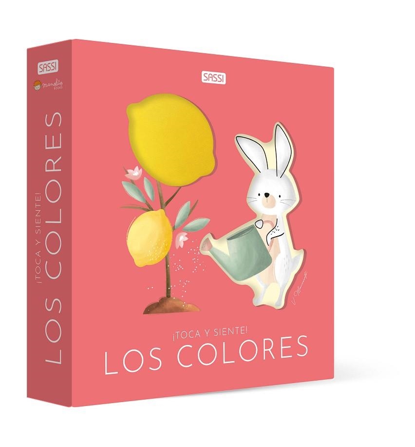 COLORES, LOS | 9788419935885 | V.MANUZATTO, V.BONAGURO | Llibreria La Gralla | Librería online de Granollers
