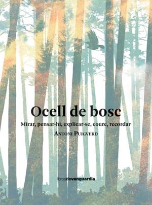OCELL DE BOSC | 9788418604461 | PUIGVERD, ANTONI | Llibreria La Gralla | Llibreria online de Granollers