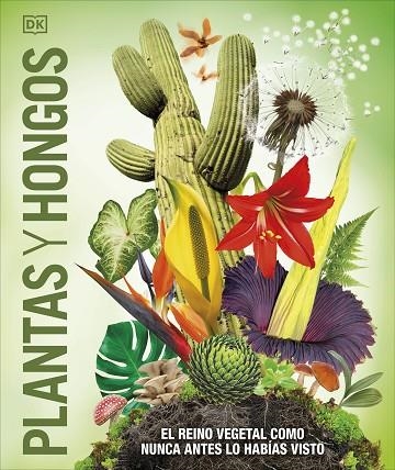 PLANTAS Y HONGOS (MUNDO 3D) | 9780241702956 | VVAA | Llibreria La Gralla | Llibreria online de Granollers