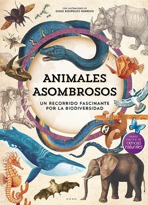 ANIMALES ASOMBROSOS | 9788410269101 | VVAA | Llibreria La Gralla | Llibreria online de Granollers