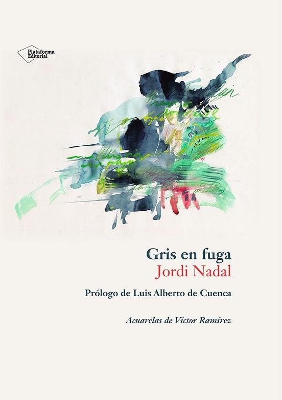 GRIS EN FUGA | 9788410243897 | NADAL HERNÁNDEZ, JORDI | Llibreria La Gralla | Librería online de Granollers