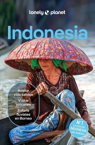 INDONESIA GUIA LONELY PLANET 2024 | 9788408291190 | D'ARCY, JAYNE / EIMER, DAVID / HARDING, PAUL / JOHANSON, MARK / LEE, JASON / ST.LOUIS, REGIS / BERKM | Llibreria La Gralla | Librería online de Granollers
