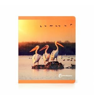 AVES | 9788412804331 | VVAA | Llibreria La Gralla | Llibreria online de Granollers