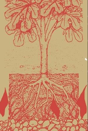 AUTONOMÍA Y SUBSISTENCIA | 9788417870423 | BERLAN, AURÉLIEN | Llibreria La Gralla | Librería online de Granollers