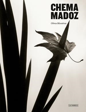CHEMA MADOZ. | 9788418934353 | MADOZ, CHEMA | Llibreria La Gralla | Librería online de Granollers