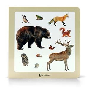 ANIMALES BOSQUE 2 | 9788412804379 | VVAA | Llibreria La Gralla | Llibreria online de Granollers