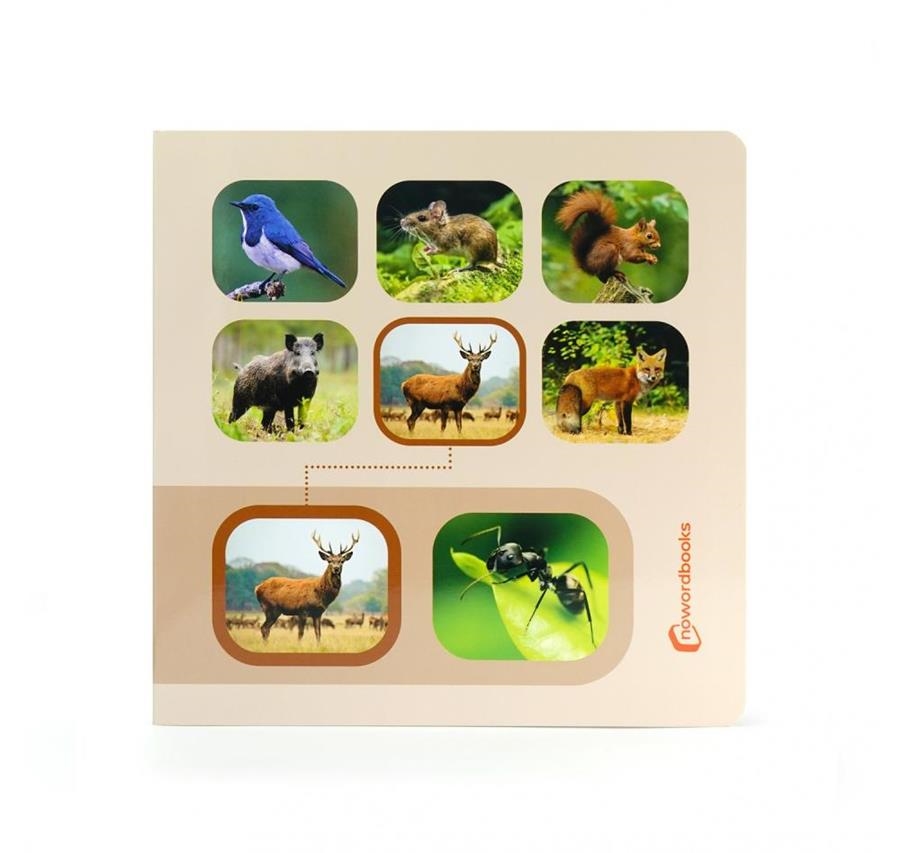 BUSCA Y ENCUENTRA ANIMALES DEL BOSQUE | 9788412906806 | VVAA | Llibreria La Gralla | Llibreria online de Granollers