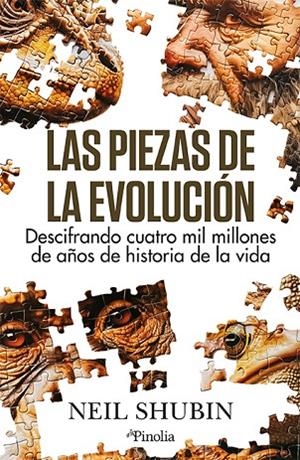 PIEZAS DE LA EVOLUCIÓN, LAS | 9788419878649 | NEIL SHUBIN | Llibreria La Gralla | Librería online de Granollers