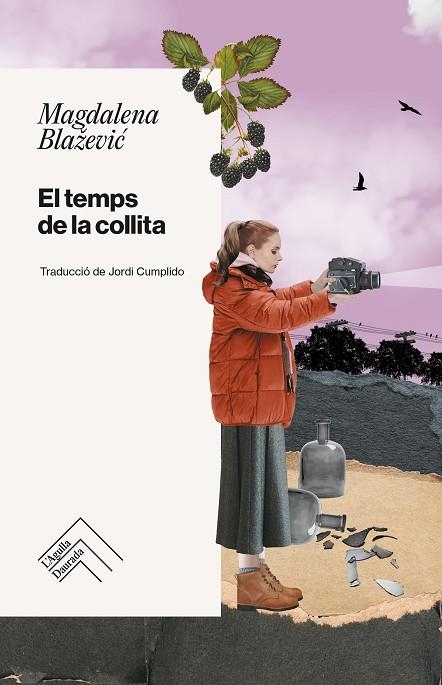 TEMPS DE LA COLLITA, EL | 9788419515223 | BLAZEVIC, MAGDALEN | Llibreria La Gralla | Llibreria online de Granollers