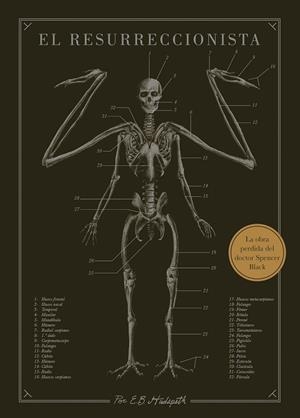 RESURRECCIONISTA, EL | 9788445019078 | HUDSPETH, E. B. | Llibreria La Gralla | Librería online de Granollers