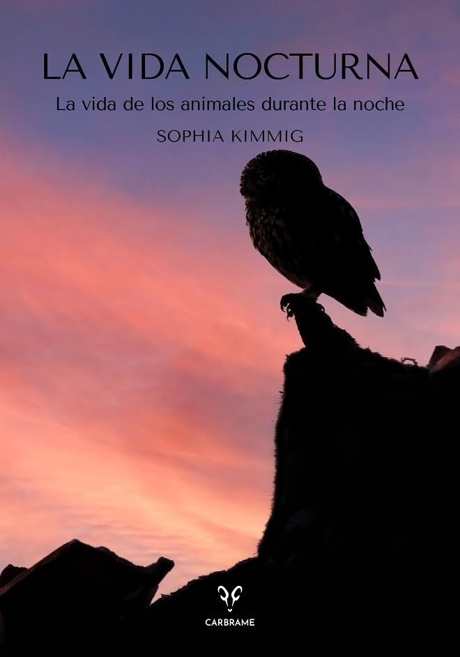 VIDA NOCTURNA, LA | 9788412849486 | KIMMIG, SOPHIA | Llibreria La Gralla | Llibreria online de Granollers
