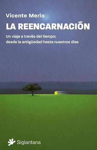 REENCARNACIÓN, LA | 9788410179493 | MERLO, VICENTE | Llibreria La Gralla | Llibreria online de Granollers