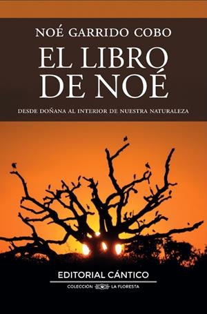 LIBRO DE NOÉ, EL | 9788410288430 | NOÉ GARRIDO COBO | Llibreria La Gralla | Llibreria online de Granollers