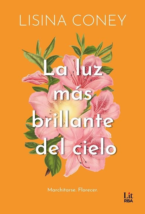 LUZ MÁS BRILLANTE DEL CIELO, LA | 9788411329323 | CONEY, LISINA | Llibreria La Gralla | Llibreria online de Granollers