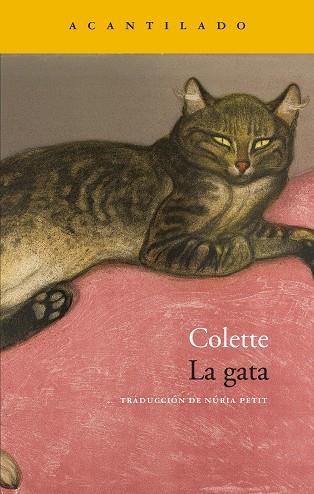 GATA, LA | 9788419958488 | COLETTE | Llibreria La Gralla | Librería online de Granollers