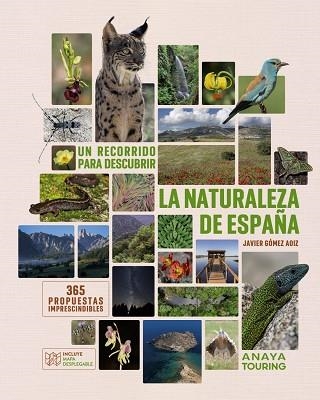 UN RECORRIDO PARA DESCUBRIR LA NATURALEZA DE ESPAÑA. | 9788491588733 | GÓMEZ AOIZ, JAVIER | Llibreria La Gralla | Llibreria online de Granollers