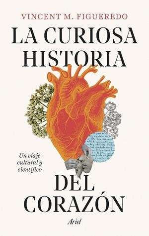 CURIOSA HISTORIA DEL CORAZÓN, LA | 9788434438392 | FIGUEREDO, VINCENT M. | Llibreria La Gralla | Llibreria online de Granollers