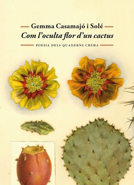 COM L'OCULTA FLOR D'UN CACTUS | 9788477277071 | CASAMAJÓ I SOLÉ, GEMMA | Llibreria La Gralla | Llibreria online de Granollers