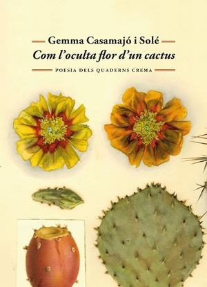 COM L'OCULTA FLOR D'UN CACTUS | 9788477277071 | CASAMAJÓ I SOLÉ, GEMMA | Llibreria La Gralla | Llibreria online de Granollers