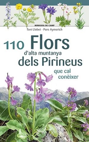 110 FLORS D'ALTA MUNTANYA DELS PIRINEUS | 9788413564647 | AYMERICH, PERE | Llibreria La Gralla | Llibreria online de Granollers