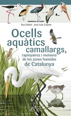 OCELLS AQUÀTICS CAMALLARGS, RAPINYAIRES I MOIXONS DE LES ZONES HUMIDES DE CATALUNYA | 9788413564746 | COPETE, JOSÉ LUIS | Llibreria La Gralla | Llibreria online de Granollers