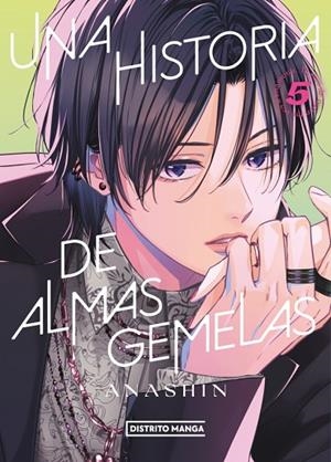 HISTORIA DE ALMAS GEMELAS 5, UNA | 9788419819628 | ANASHIN | Llibreria La Gralla | Llibreria online de Granollers