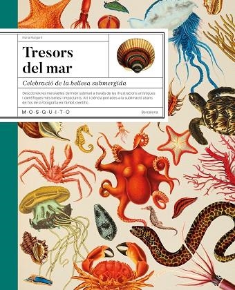 TRESORS DEL MAR | 9788419095756 | MARGARIT, NÚRIA | Llibreria La Gralla | Llibreria online de Granollers