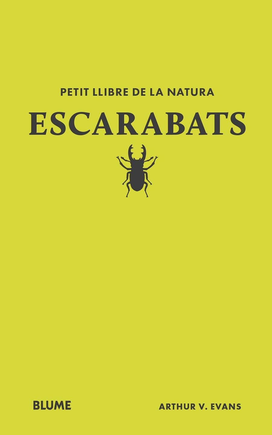 PETIT LLIBRE DE LA NATURA. ESCARABATS | 9788410268746 | EVANS, ARTHUR V | Llibreria La Gralla | Librería online de Granollers