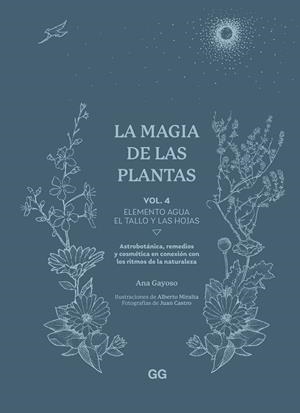 MAGIA DE LAS PLANTAS, LA | 9788425235641 | GAYOSO, ANA | Llibreria La Gralla | Llibreria online de Granollers