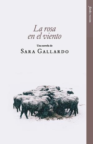 LA ROSA EN EL VIENTO | 9788412888980 | GALLARDO, SARA | Llibreria La Gralla | Librería online de Granollers