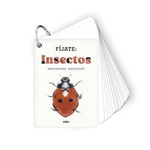 FÍJATE: INSECTOS | 9788410407183 | SANJUAN LLORENS, ANNA ;  NOGUÉS, ALEX | Llibreria La Gralla | Llibreria online de Granollers
