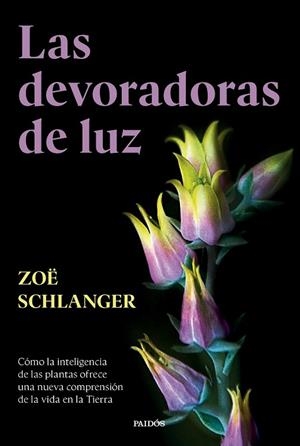 DEVORADORAS DE LUZ, LAS | 9788449343742 | SCHLANGER, ZOË | Llibreria La Gralla | Llibreria online de Granollers