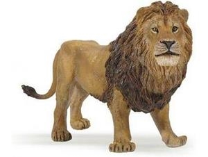 LLEÓ PAPO | 3465000500405 | 50040 | Llibreria La Gralla | Llibreria online de Granollers