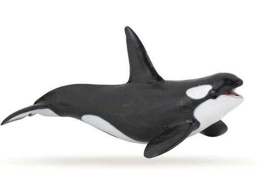ORCA PAPO | 3465000560003 | 56000 | Llibreria La Gralla | Librería online de Granollers