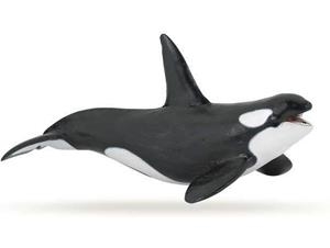 ORCA PAPO | 3465000560003 | 56000 | Llibreria La Gralla | Llibreria online de Granollers