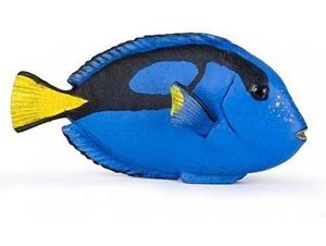 PEIX CIRURGIÀ PAPO | 3465000560249 | 56024 | Llibreria La Gralla | Llibreria online de Granollers