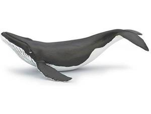 CRIA BALENA PAPO | 3465000560355 | 56035 | Llibreria La Gralla | Llibreria online de Granollers