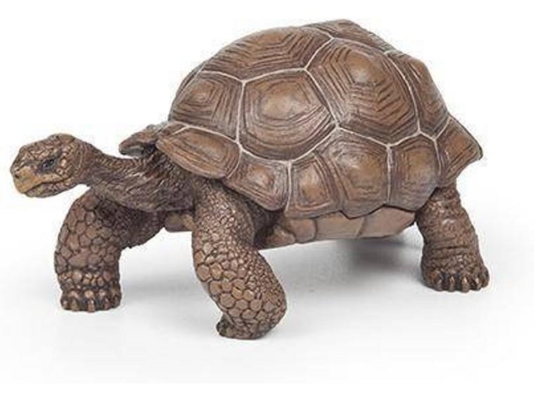 TORTUGA GALÀPAGOS PAPO | 3465000501617 | 50161 | Llibreria La Gralla | Llibreria online de Granollers