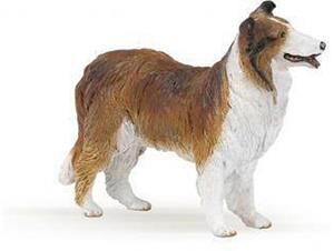 COLLIE PAPO | 3465000302306 | 30230 | Llibreria La Gralla | Llibreria online de Granollers