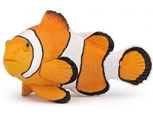 PEIX PALLASSO PAPO | 3465000560232 | 56023 | Llibreria La Gralla | Librería online de Granollers