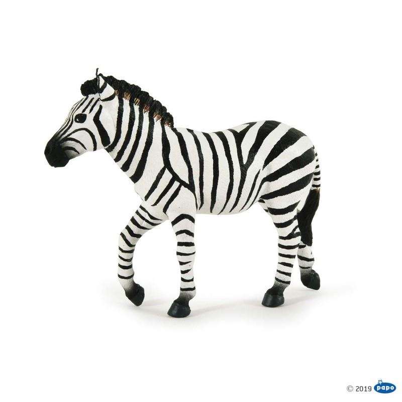 ZEBRA MASCLE PAPO | 3465000502492 | 50249 | Llibreria La Gralla | Librería online de Granollers