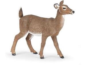 CÈRVOL DE VIRGINIA PAPO | 3465000502188 | 50218 | Llibreria La Gralla | Librería online de Granollers