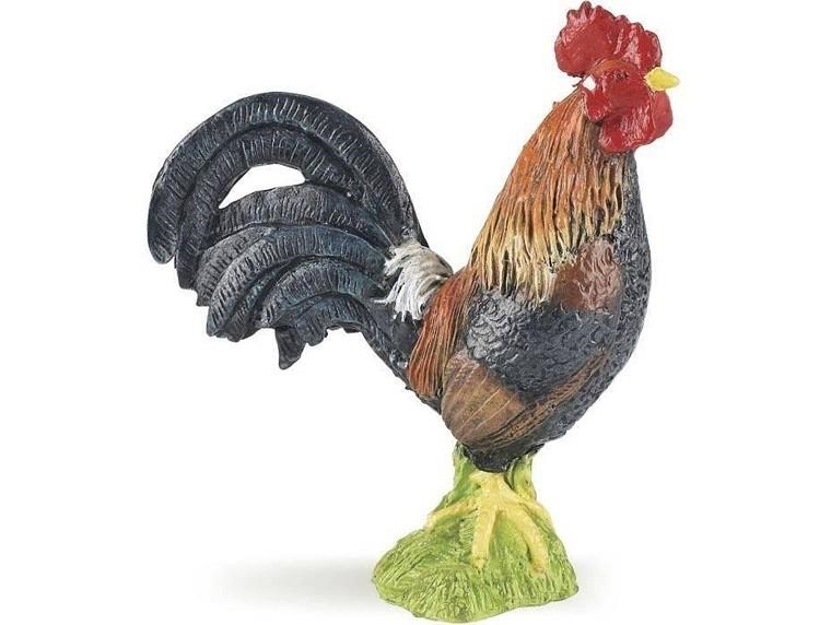 GALL PAPO | 3465000510466 | 51046 | Llibreria La Gralla | Llibreria online de Granollers