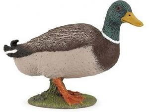 ÀNEC DE COLL VERD PAPO | 3465000511555 | 51155 | Llibreria La Gralla | Librería online de Granollers