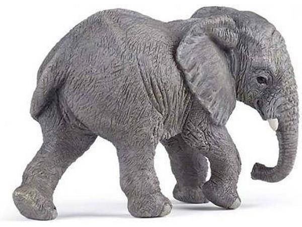 ELEFANT AFRICÀ JOVE PAPO | 3465000501693 | 50169 | Llibreria La Gralla | Librería online de Granollers