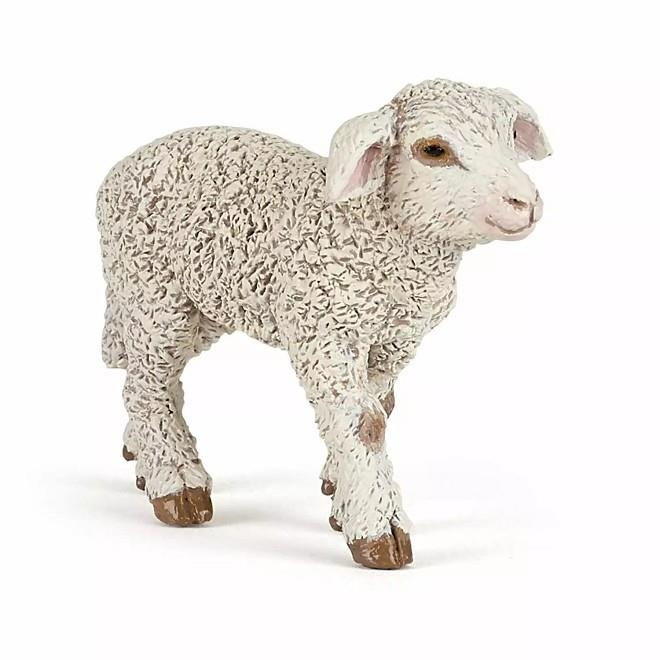 OVELLA MERINA PAPO | 3465000511760 | 51176 | Llibreria La Gralla | Llibreria online de Granollers